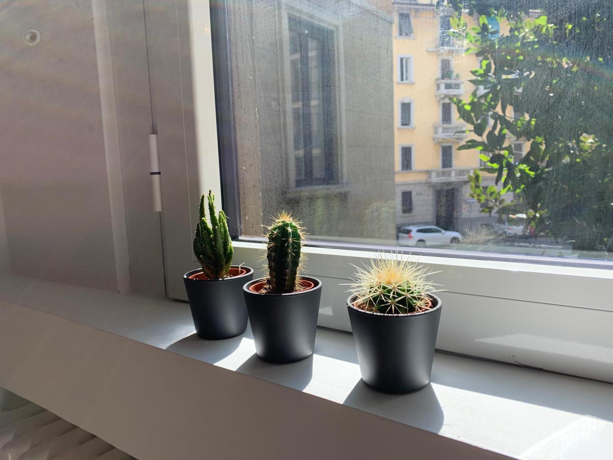 Porta Venezia New Luxury Apt - Wifi Full Equiped 밀라노 외부 사진